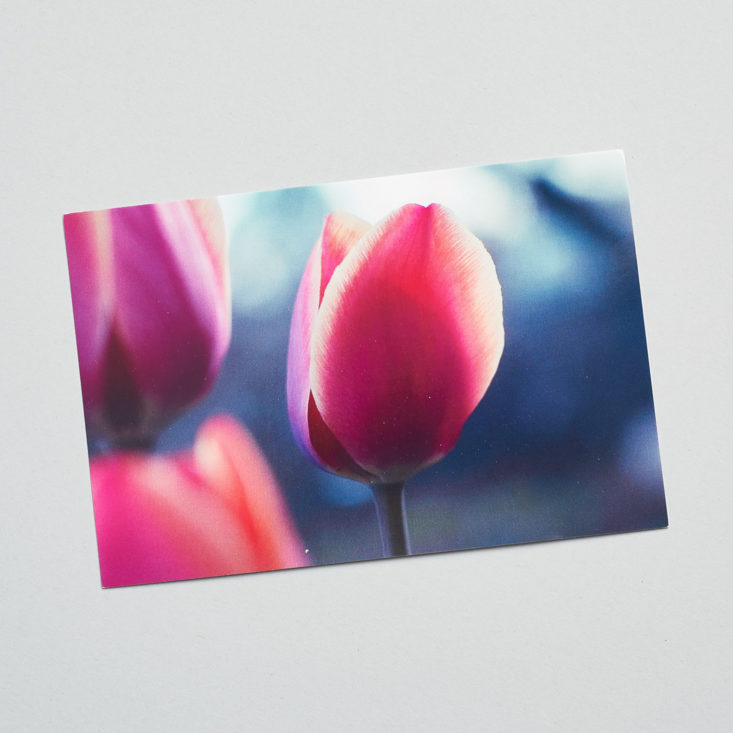 tulip card