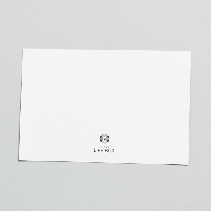 blank tulip card