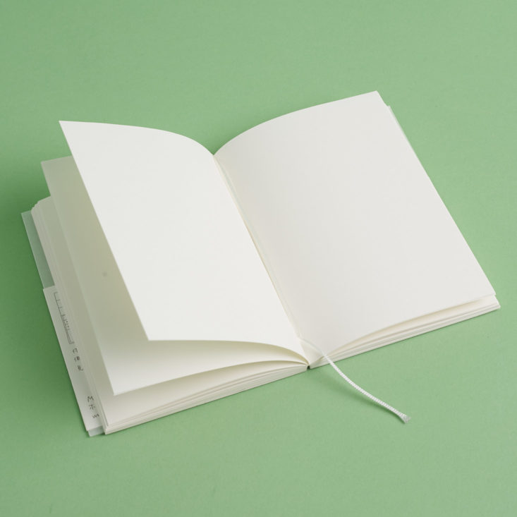 pages of Midori MD Cotton Notebook