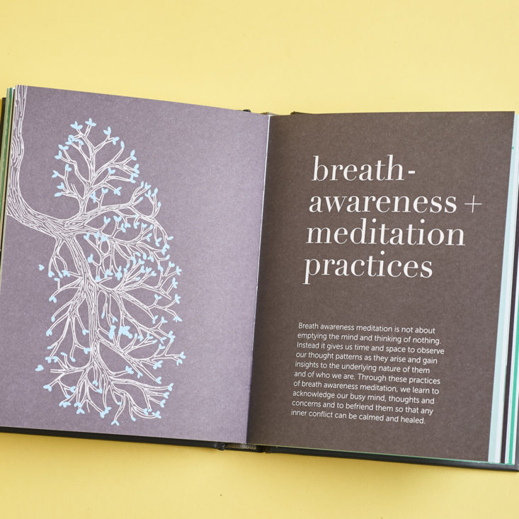meditation practices