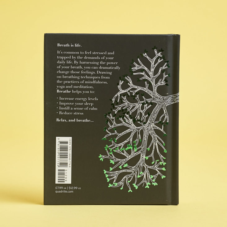 breathe back cover