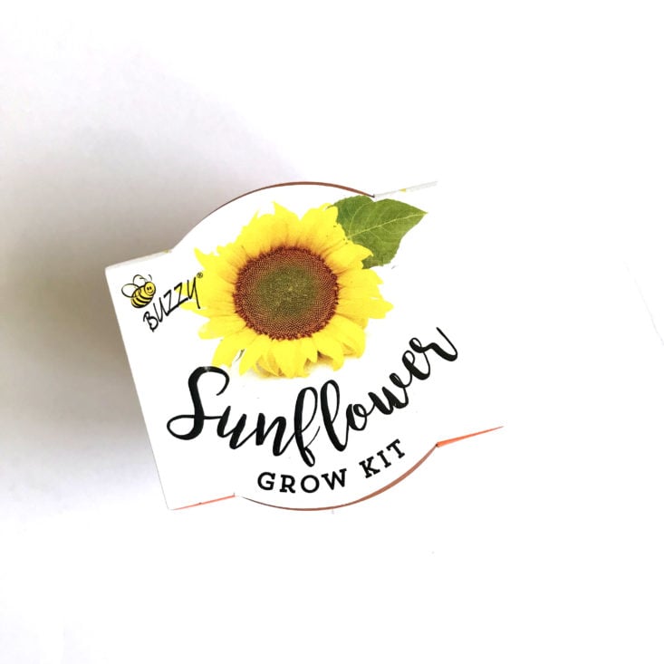 CampusCube for Girls Bloom Package May 2018 - sunflower grow kit