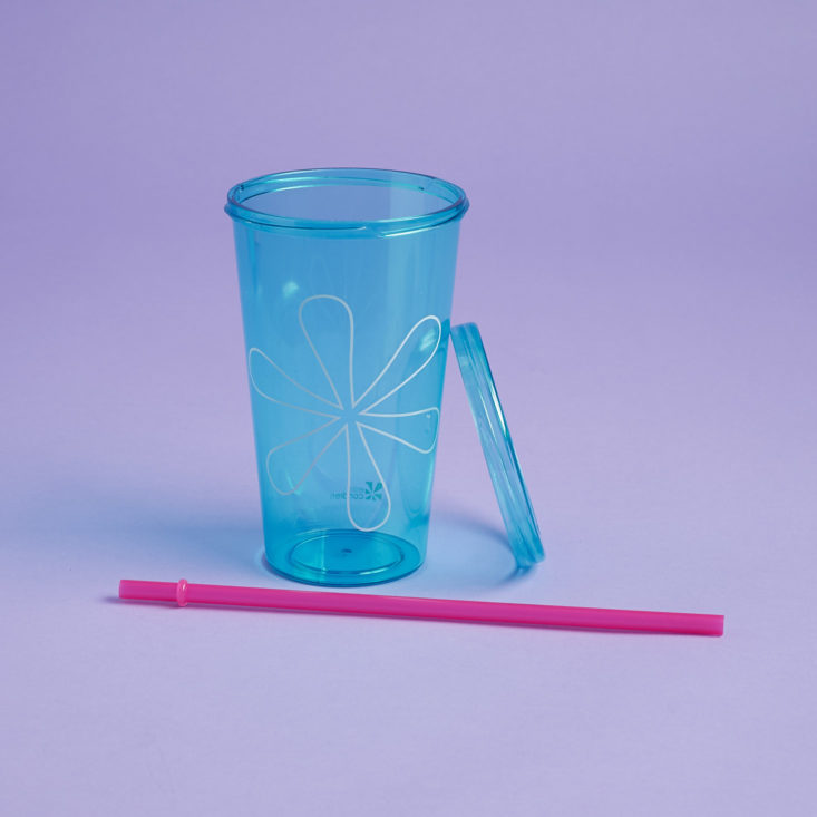 erin condren tumbler and straw set