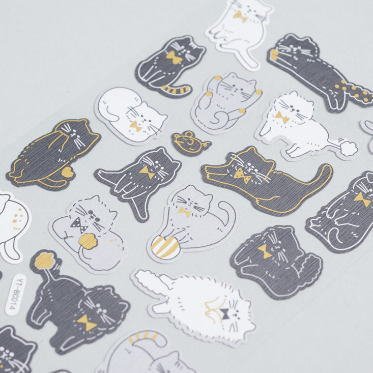 stickii club gray cat stickers