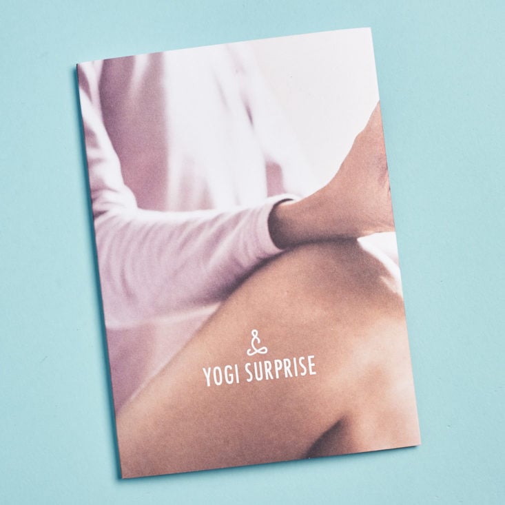 yogi surprise bliss out booklet