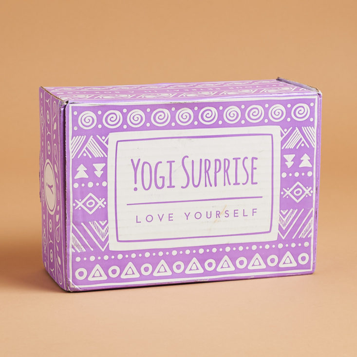yogi surprise box