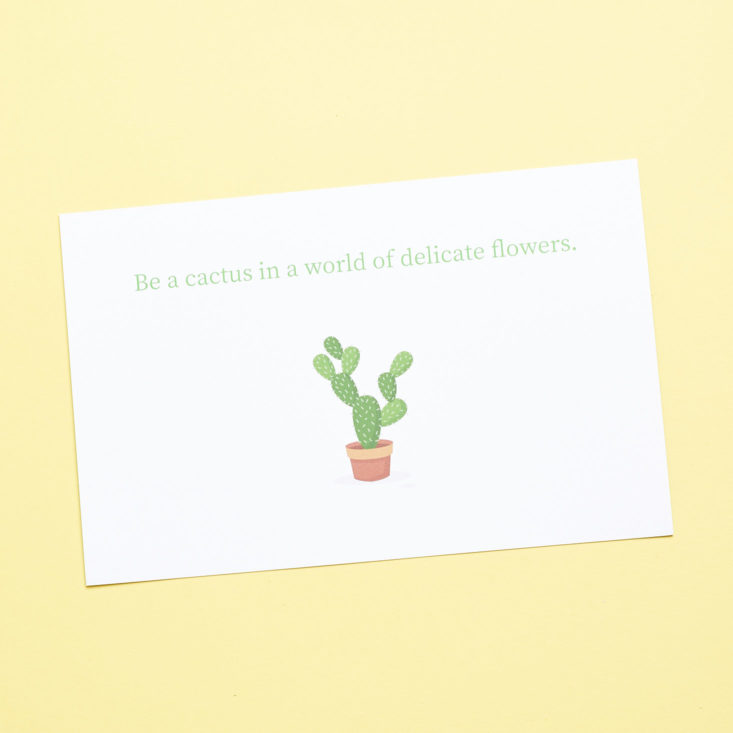 clean routine beauty cactus card