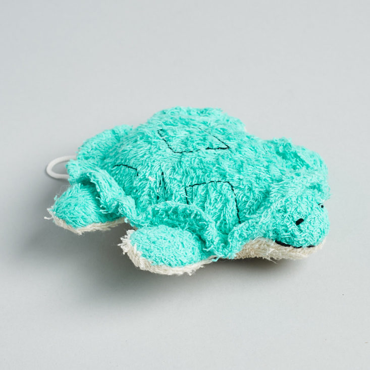 Turtle Scrubby