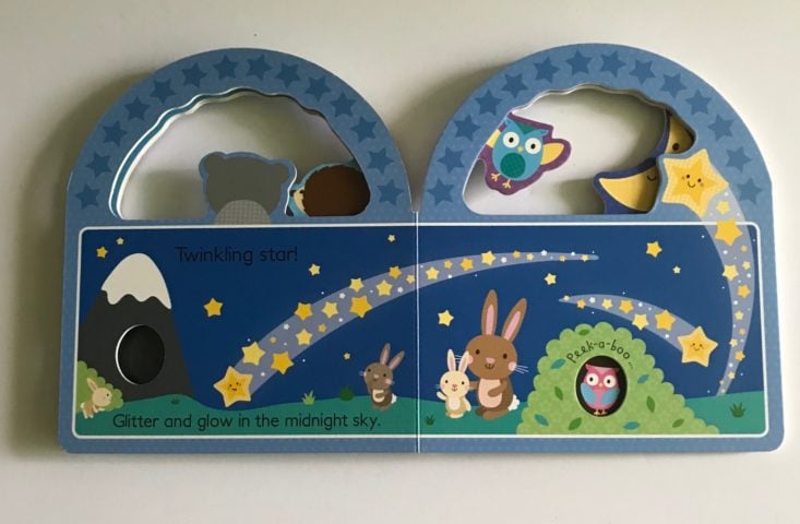 Kids BookCase.Club Box Review June 2018 -7) goodnight sky