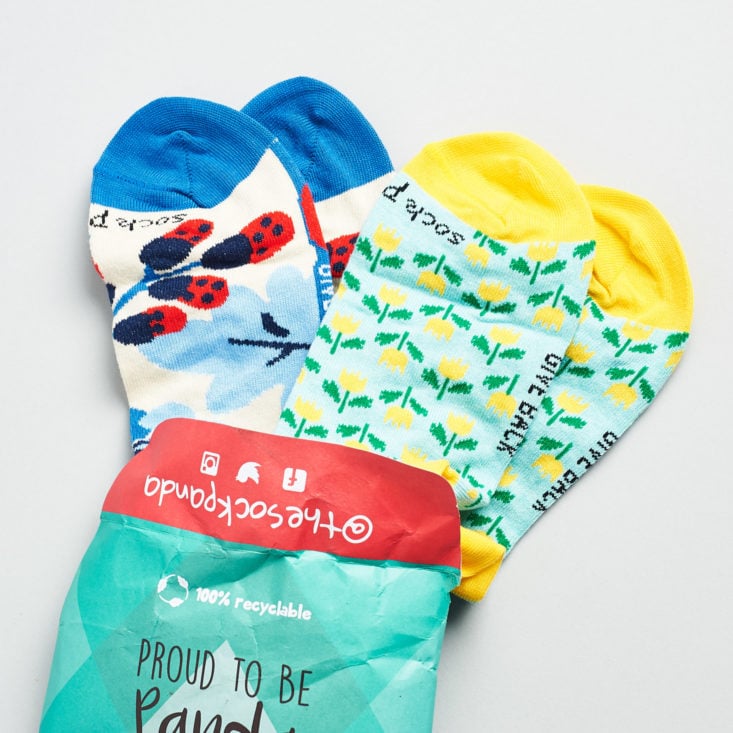 Sock Panda Sock of the Month Package