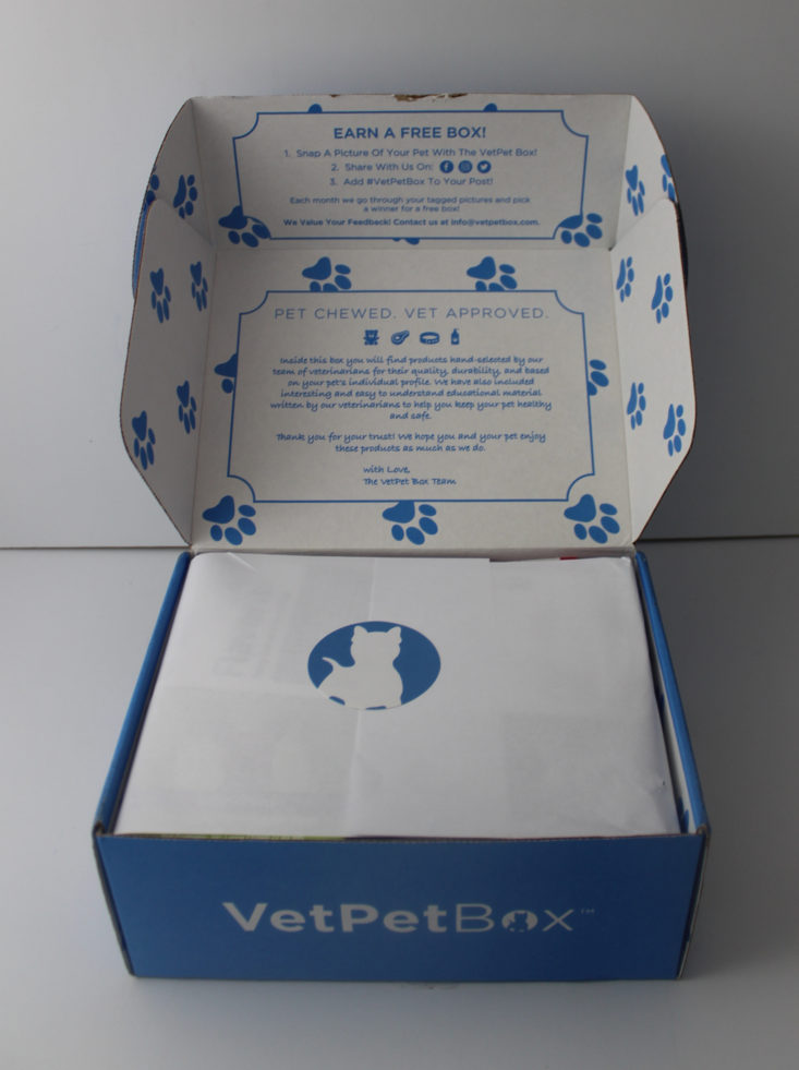 open Vet Pet Box Dog box
