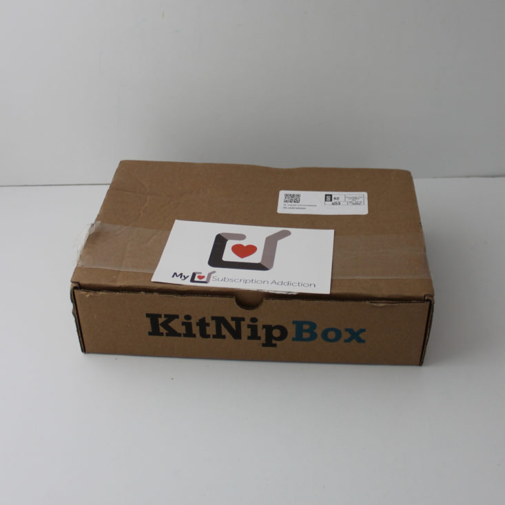 closed Kitnipbox box