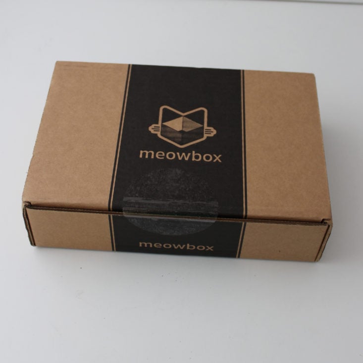 closed cardboard box and Meowbox logo printed on top