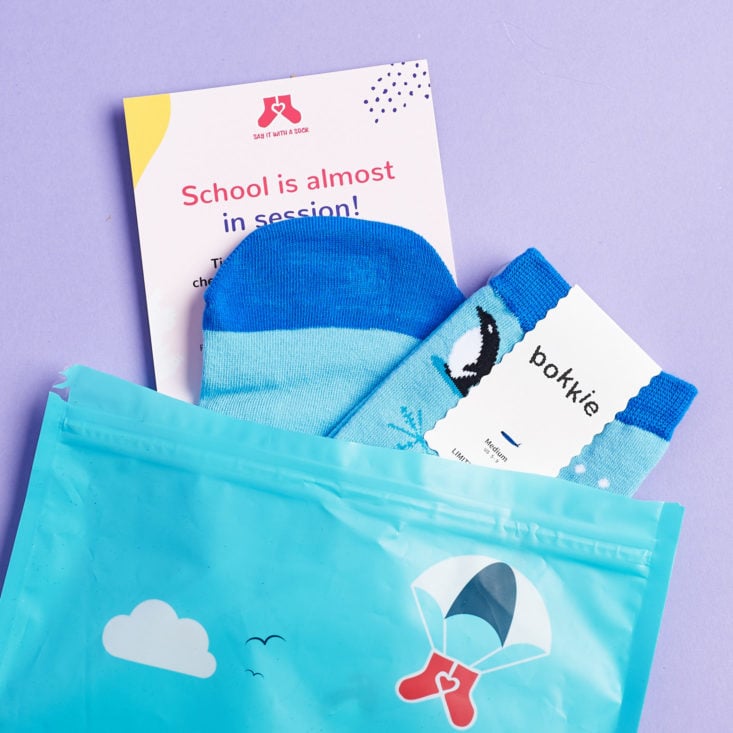 Say It With A Sock Womens August 2018