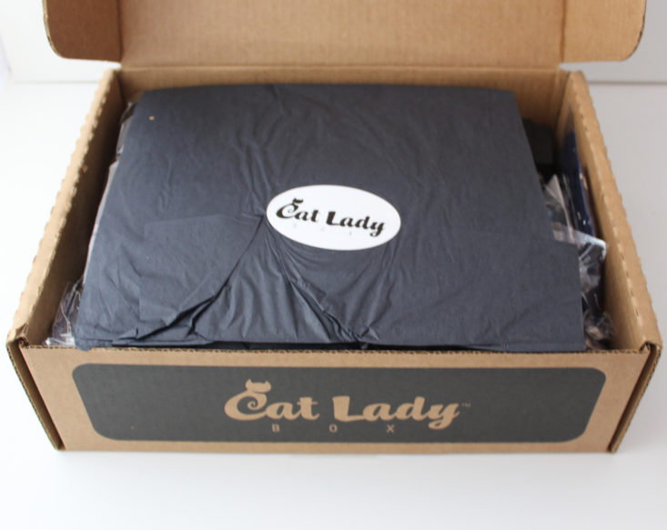 open Cat Lady Box