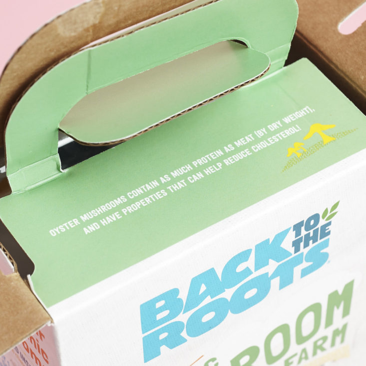 box flap for Back to the Basics Organic Mushroom Farm