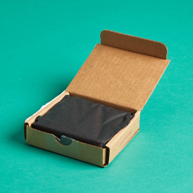 earfleek premium unboxing