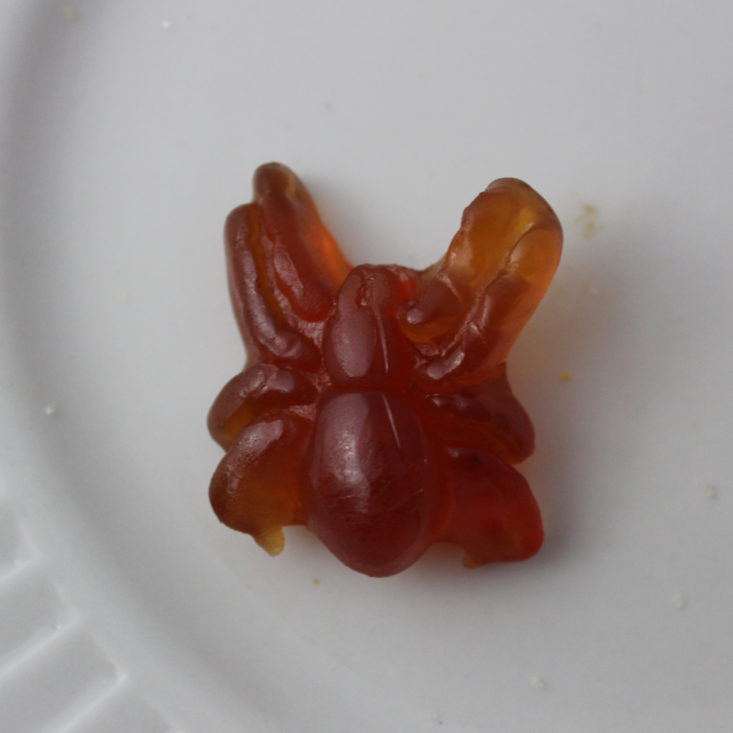 Love with Food October 2018 - Surf Sweets Spooky Spiders Gummies Open Top
