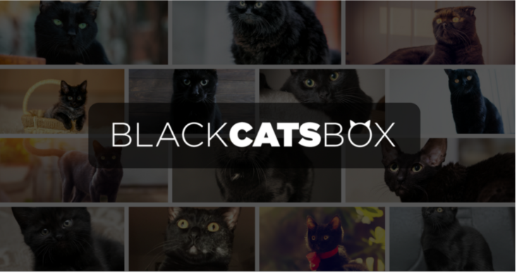 cat lady box
