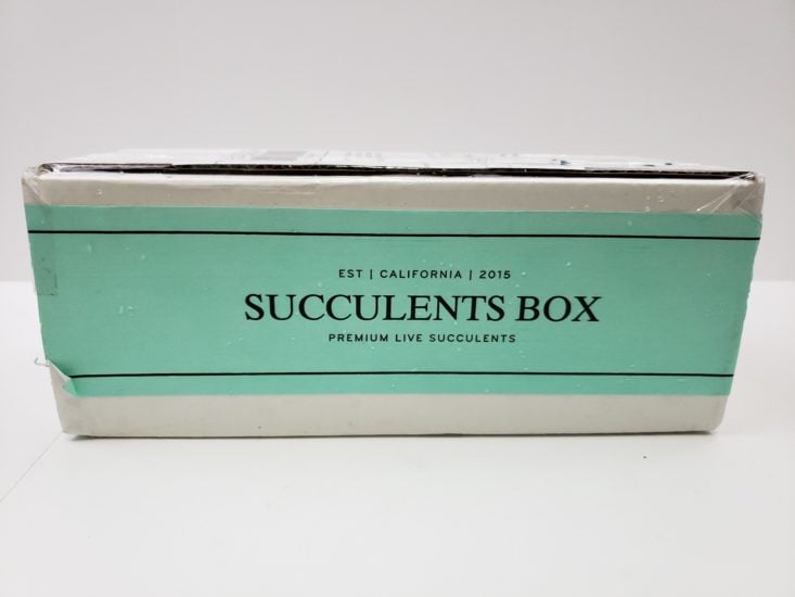 Succulents Box Review October 2018 - Box Review Front