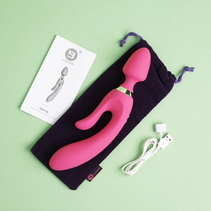 Heart and Honey November 2018 vibrator with accessories