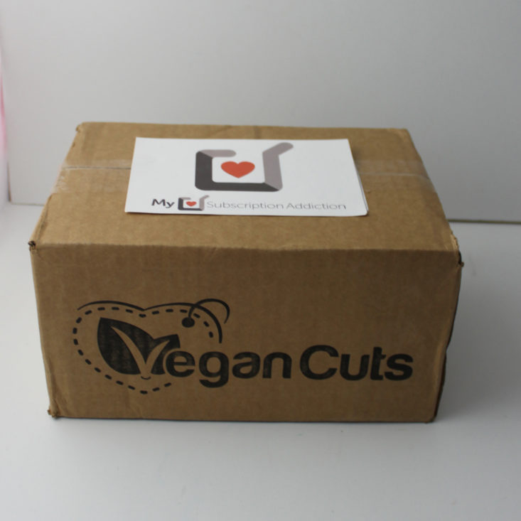 Vegan Cuts Chocolate November 2018 - Box