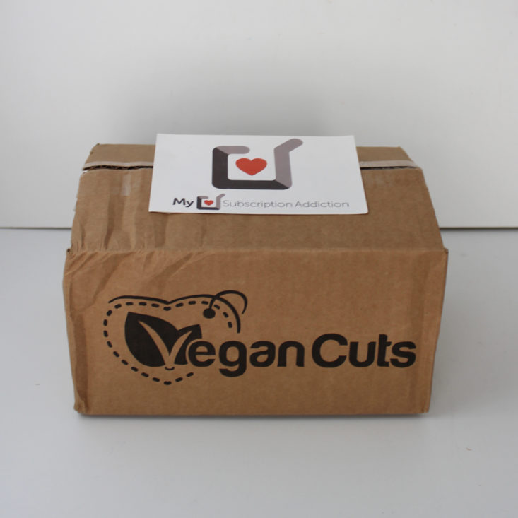 Vegan Cuts Snack Box November 2018 Review - Box Closed Top