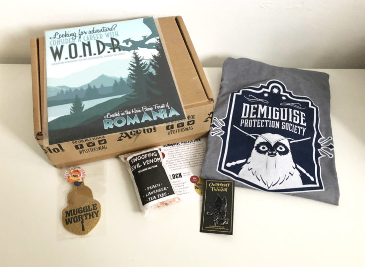 Accio! Subscription Box Review “Magical Creatures and How to Spot Them” November 2018 - Box With All Contents Top