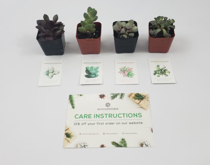 Succulents Box December 2018 - All Products Group Shot Unwrapped Front