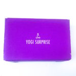 Yogi Surprise Jewelry Box Review + Coupon – December 2018