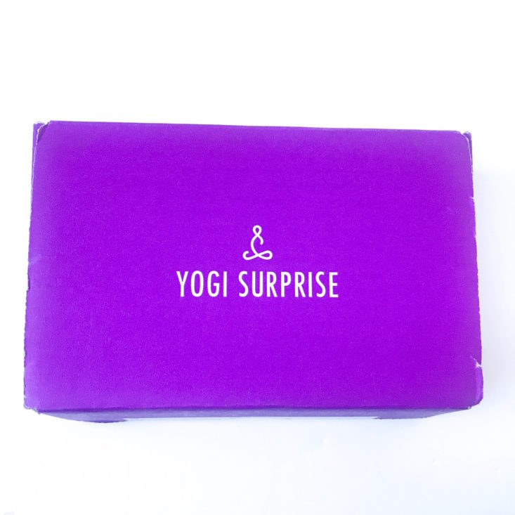 Yogi Surprise Jewelry December 2018 - Box Review Front