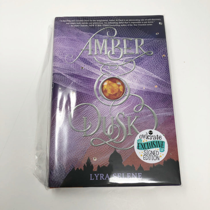 OwlCrate YA Book Box December 2018 - Amber & Dusk by Lyra Selene Front Top