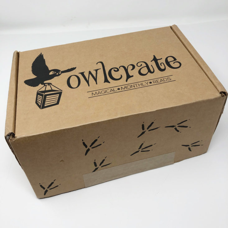 OwlCrate YA Book Box December 2018 - Box Review Top