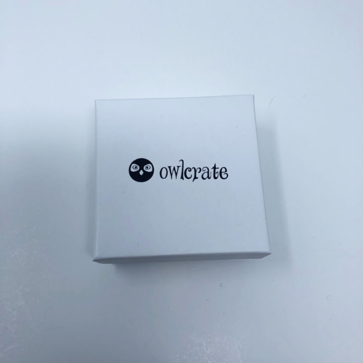 OwlCrate YA Book Box January 2019 - Antler Bracelet Box Top