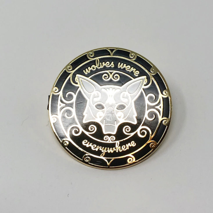 OwlCrate YA Book Box January 2019 - Monthly Enamel Pin Front Top