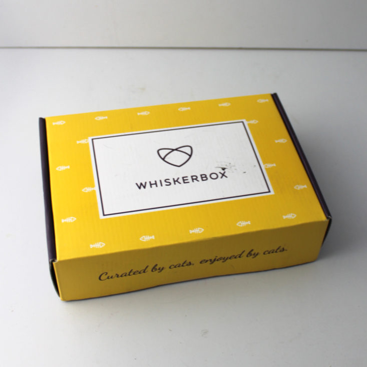 Whiskerbox December 2018 - Box Closed Top