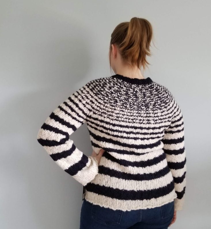 Daily Look Elite February 2019 striped sweater back