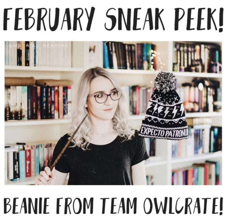 owlcrate february 2019 Harry Potter Beanie