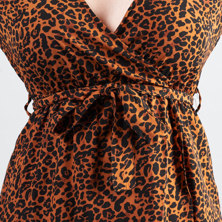 Shoedazzle february leopard print dress waist tie