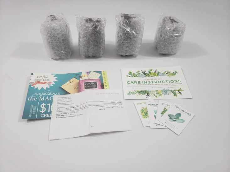 Succulents Box February 2019 - All Contents Package