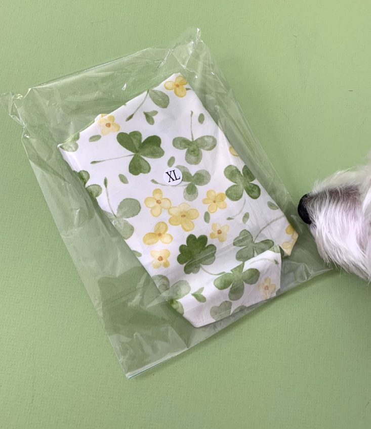 Dapper Dog Box Review March 2019 - Lucky Spring Bandana 2 Package Top