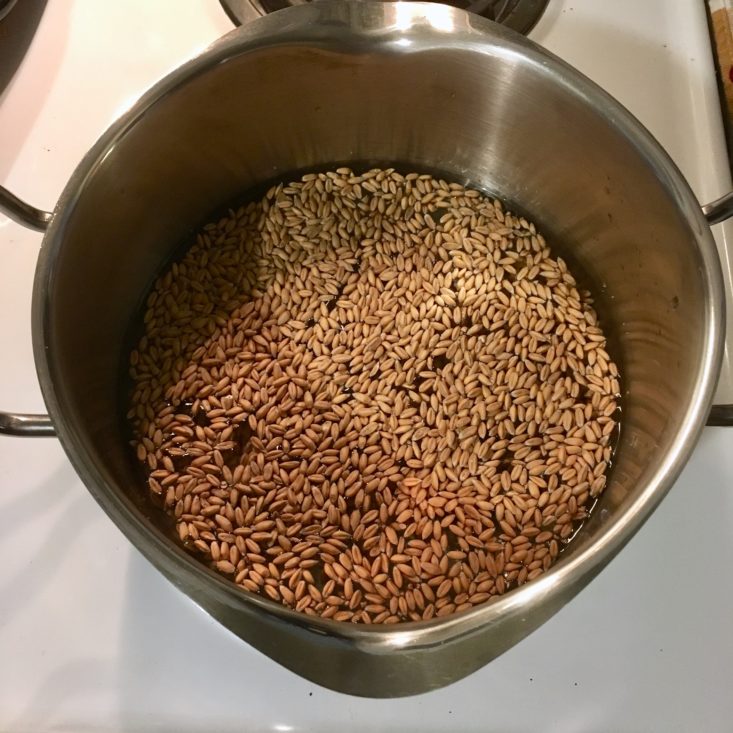 Home Chef Subscription Box Review March 2019 - Potato Bowl Farro Top