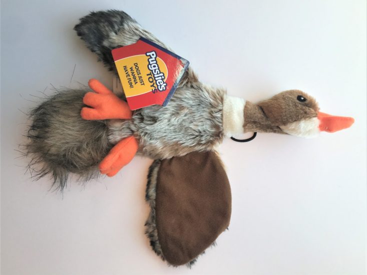 Mini Monthly Mystery Box For Dogs March 2019 - Dog Toy Back