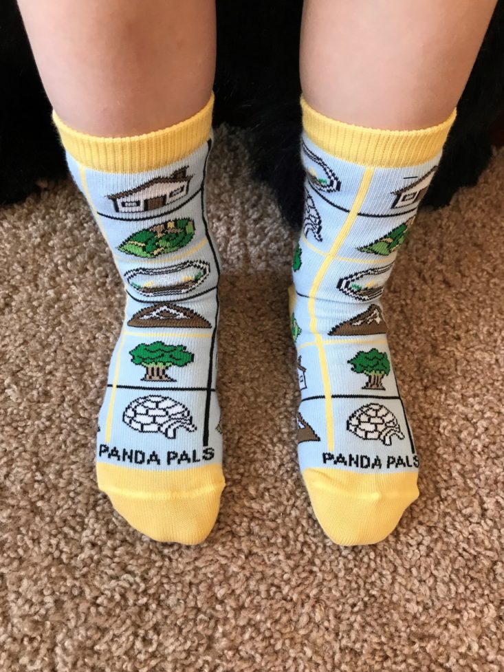 PandaPals-March 2019-Habitat Socks Front View On