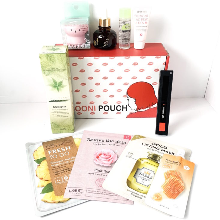 Sooni Pouch Review March 2019 - All Products Group Shot Top