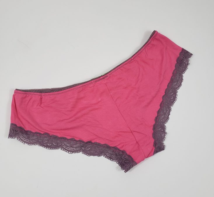 Splendies February 2019 - Pink Laced Low-Rise Panty, Large Back