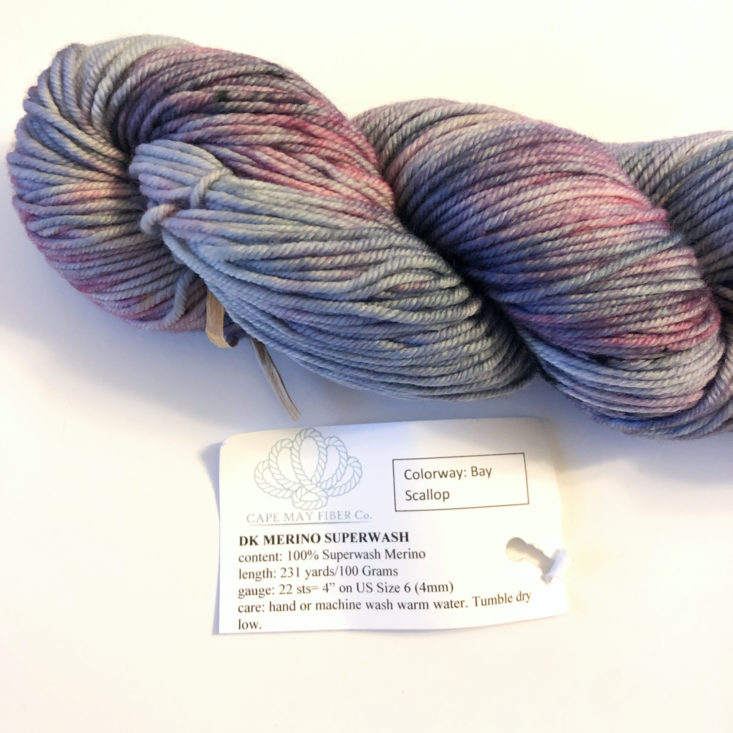Yarn Crush Box February 2019 - Bay Scallop With Tag Front