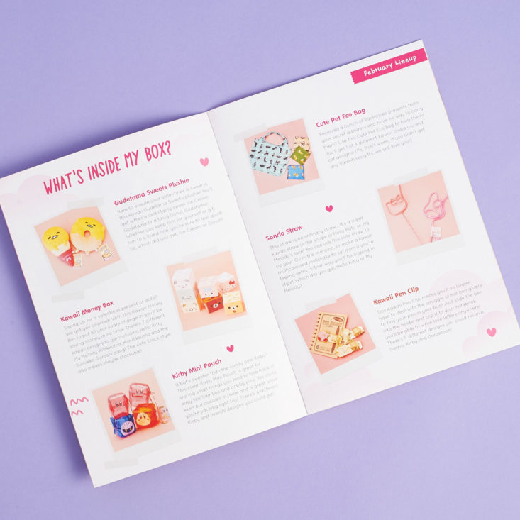 YumeTwins February 2019 booklet products info