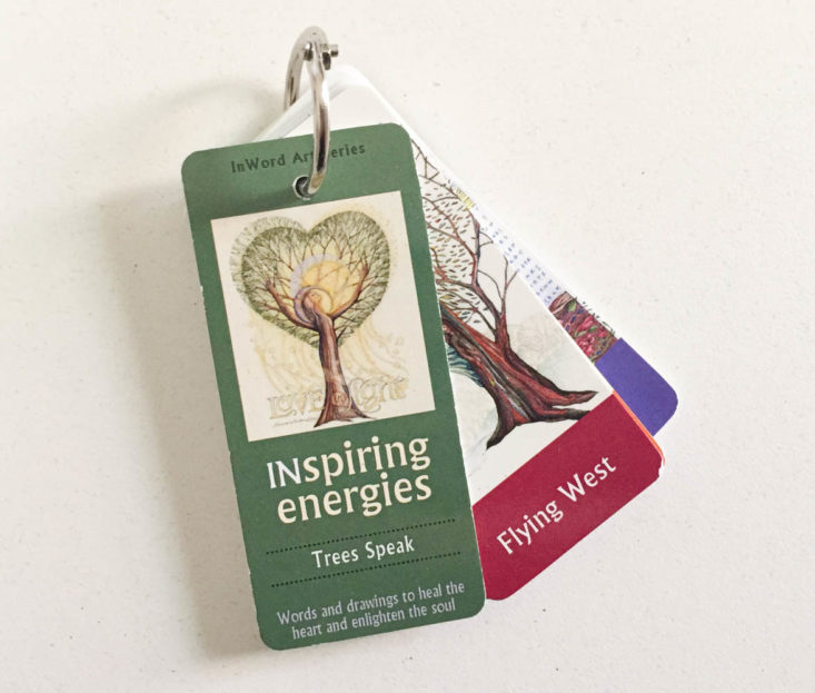 Earthlove Subscription Box Review Spring 2019 - Inspiring Energies Affirmation Deck by Sue Lion 1 Top