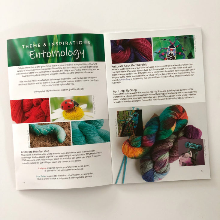KnitCrate Sock Crate April 2019 Review - Entomology Theme Pages Top